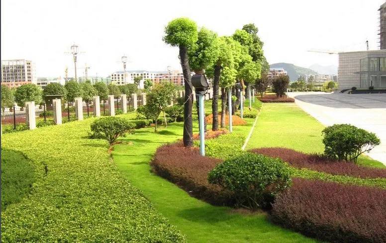 以園林綠化工程為基石，推進(jìn)城市生態(tài)高質(zhì)量發(fā)展